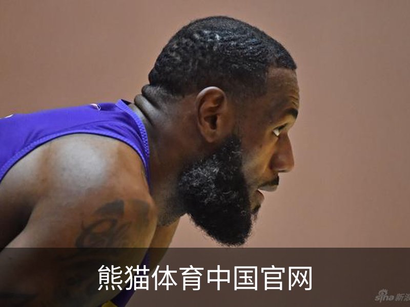 熊猫体育中国官网概况